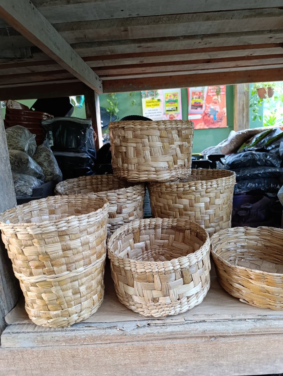 Cestos decorativos