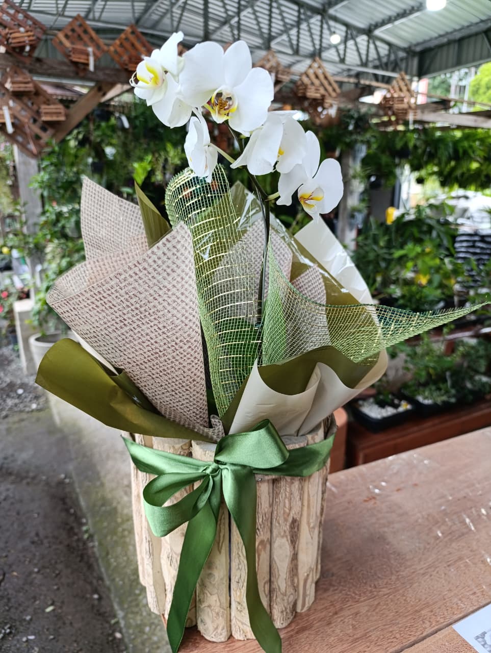 Orqu&iacute;dea em cachep&ocirc; r&uacute;stico