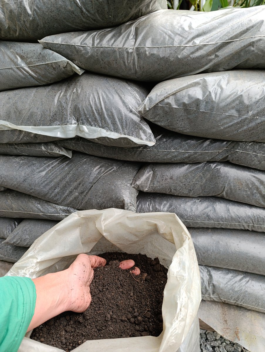 Terra adubada e substrato à pronta-entrega na Flor & Cultura Alecrim, Blumenau